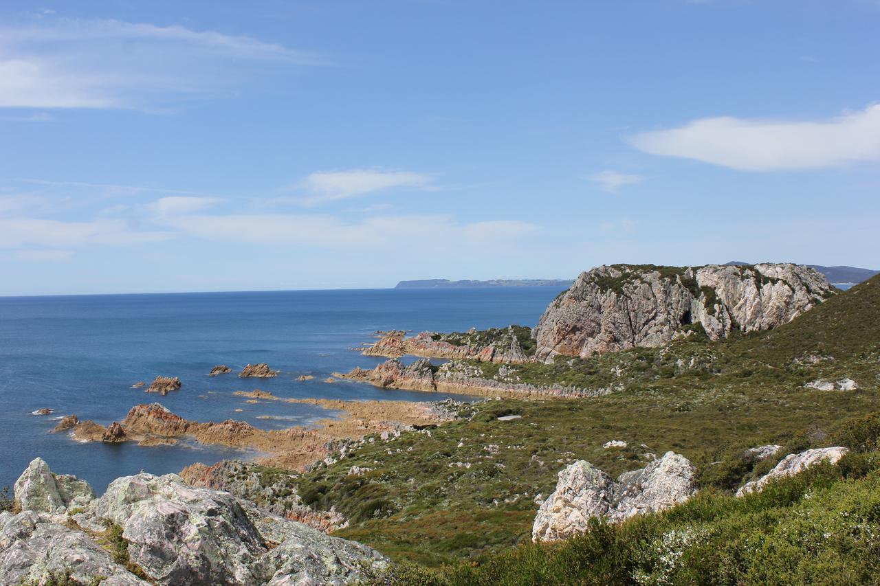 Eagle'S Roost Farmstay B&B Rocky Cape Eksteriør bilde
